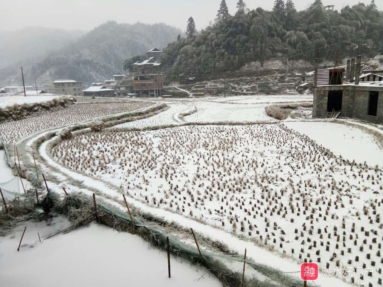 融水各地雪景汇总:堆雪人,滑雪!冰雪中的大苗山美爆了