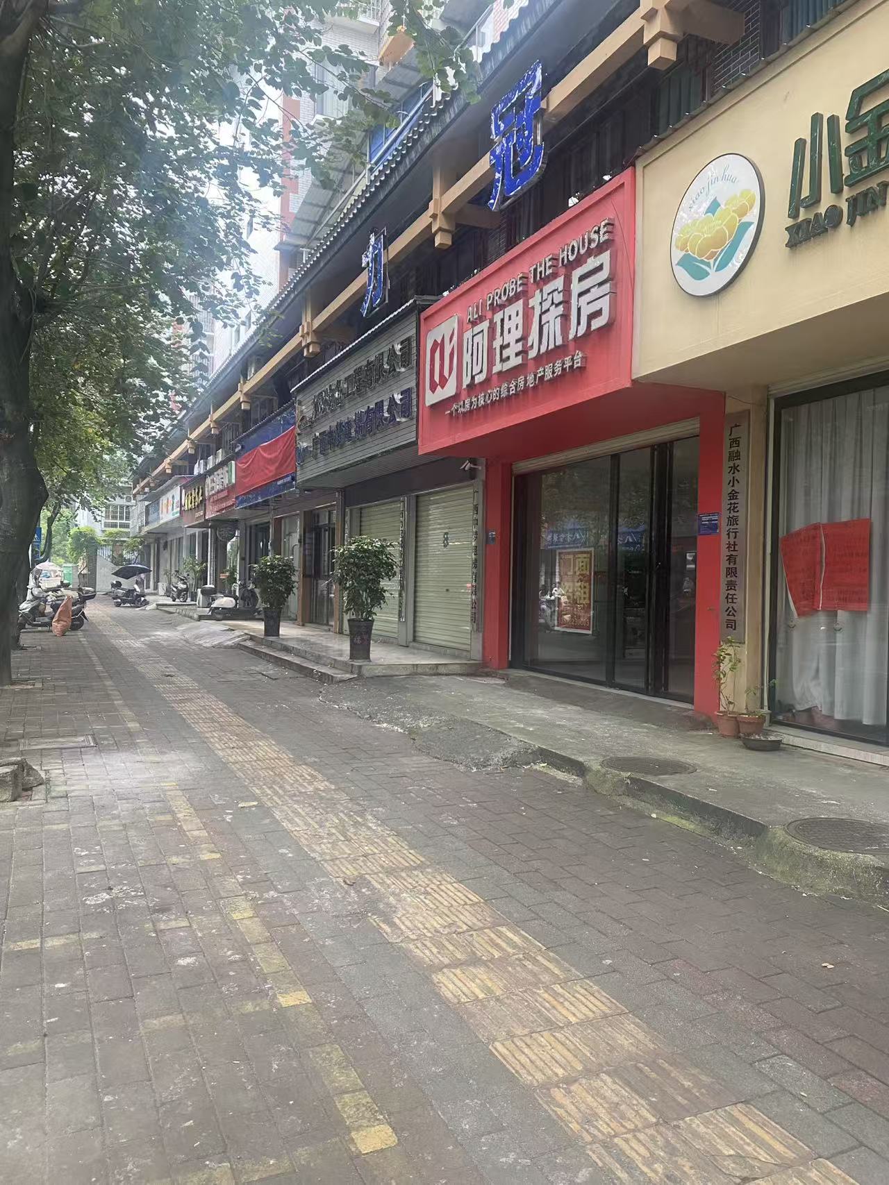 融水分类信息