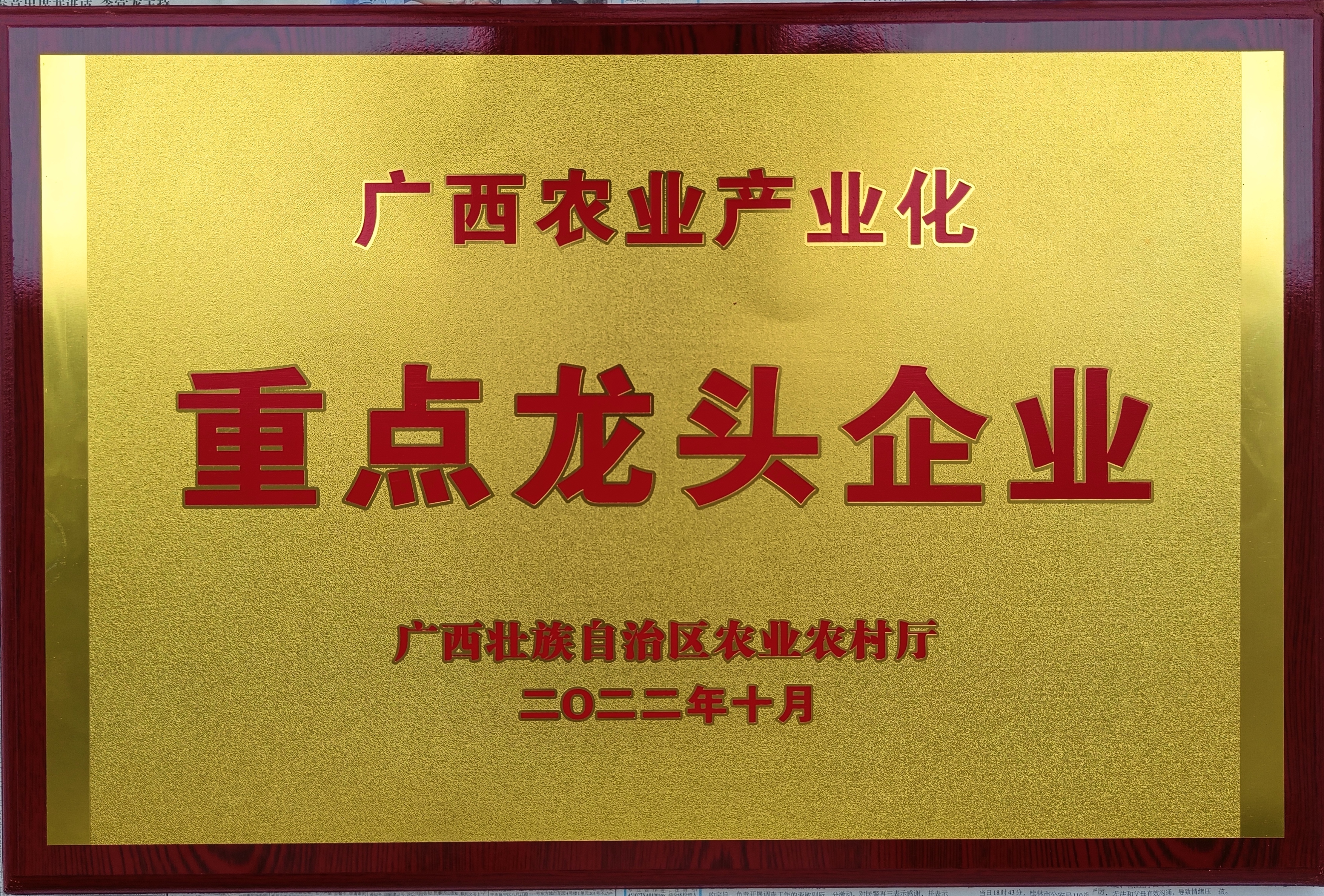 融水分类信息