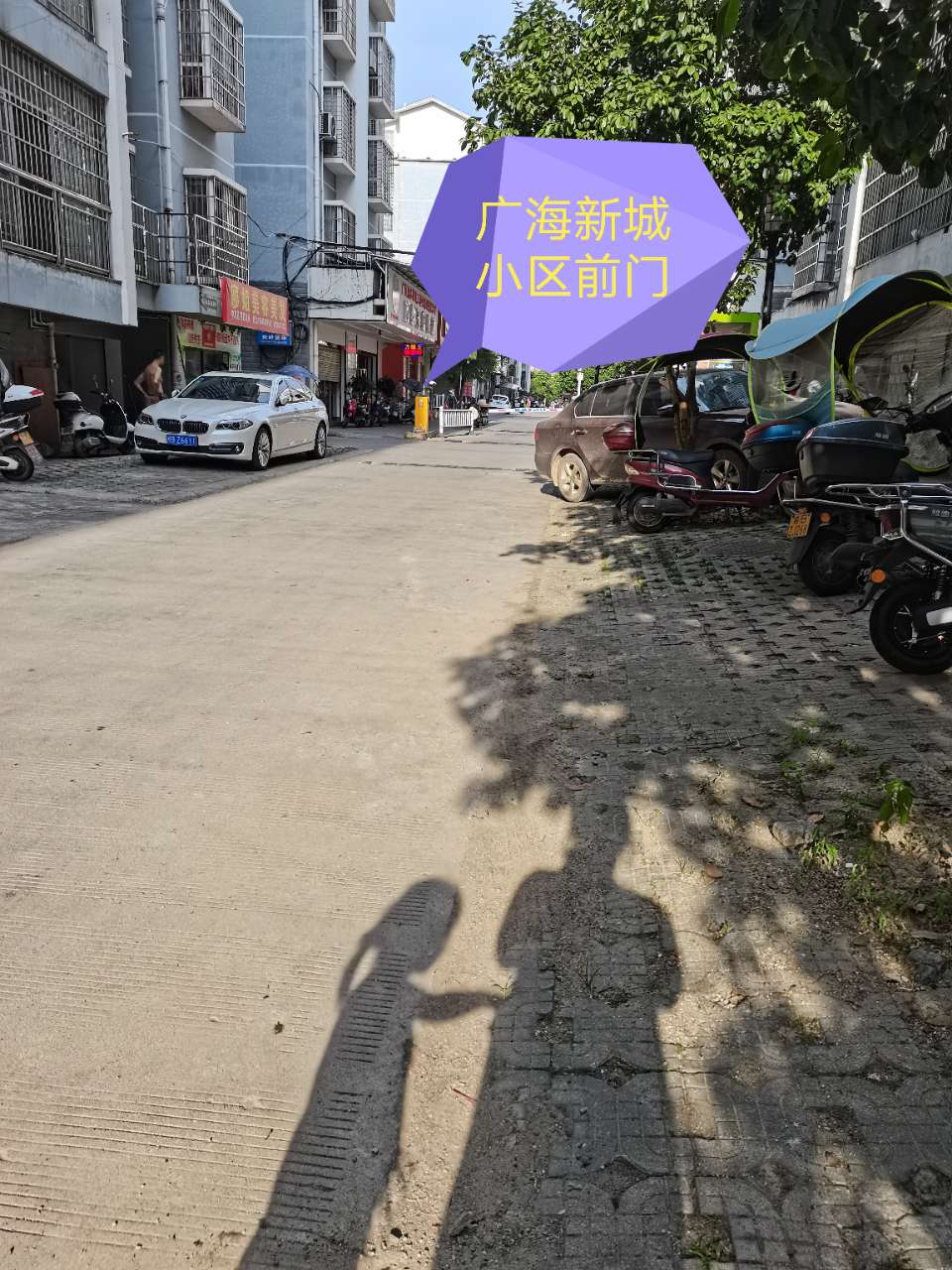 融水分类信息