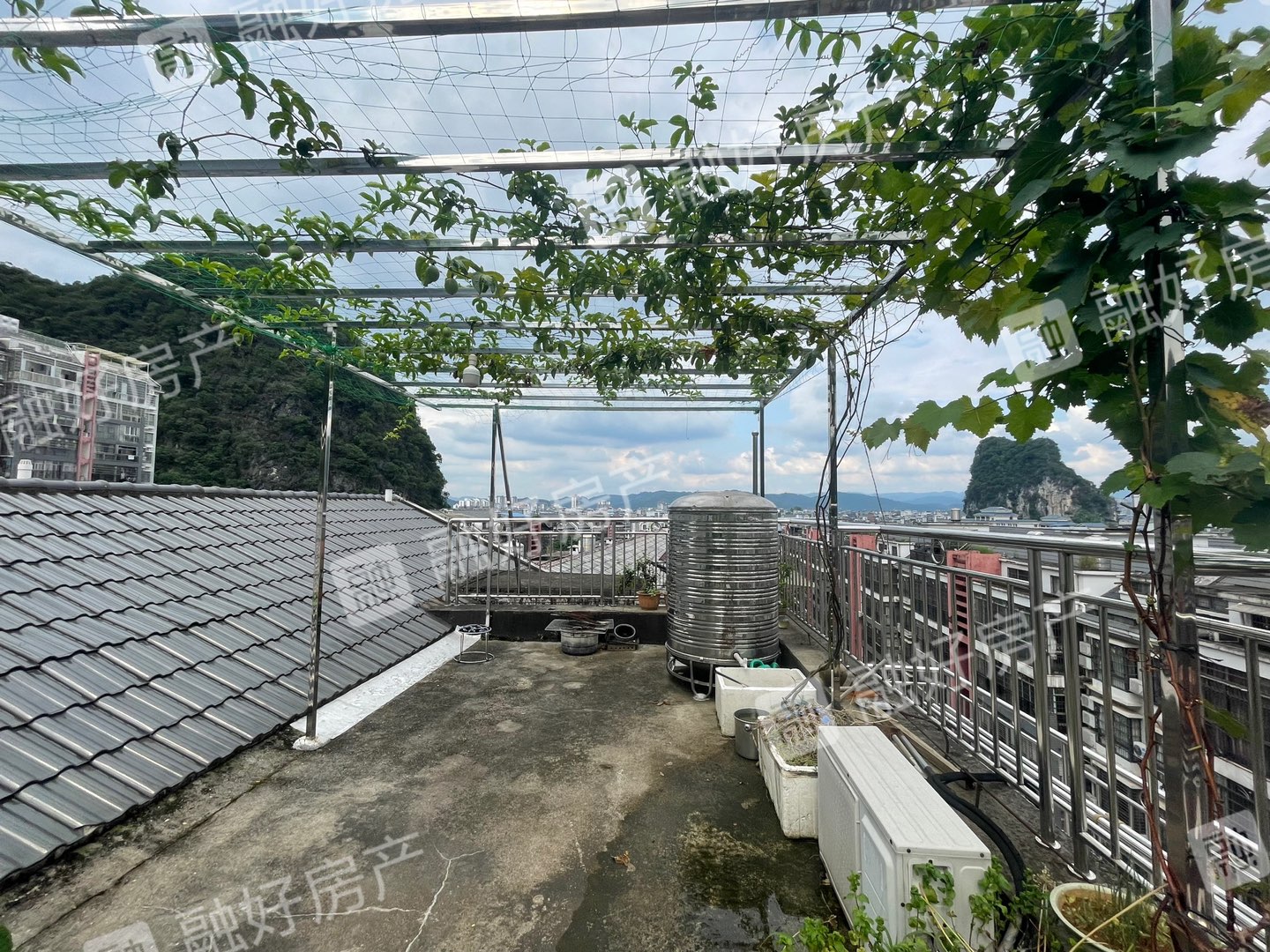 融水分类信息