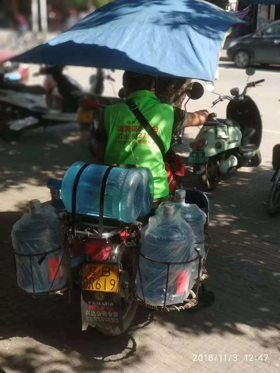 融水分类信息