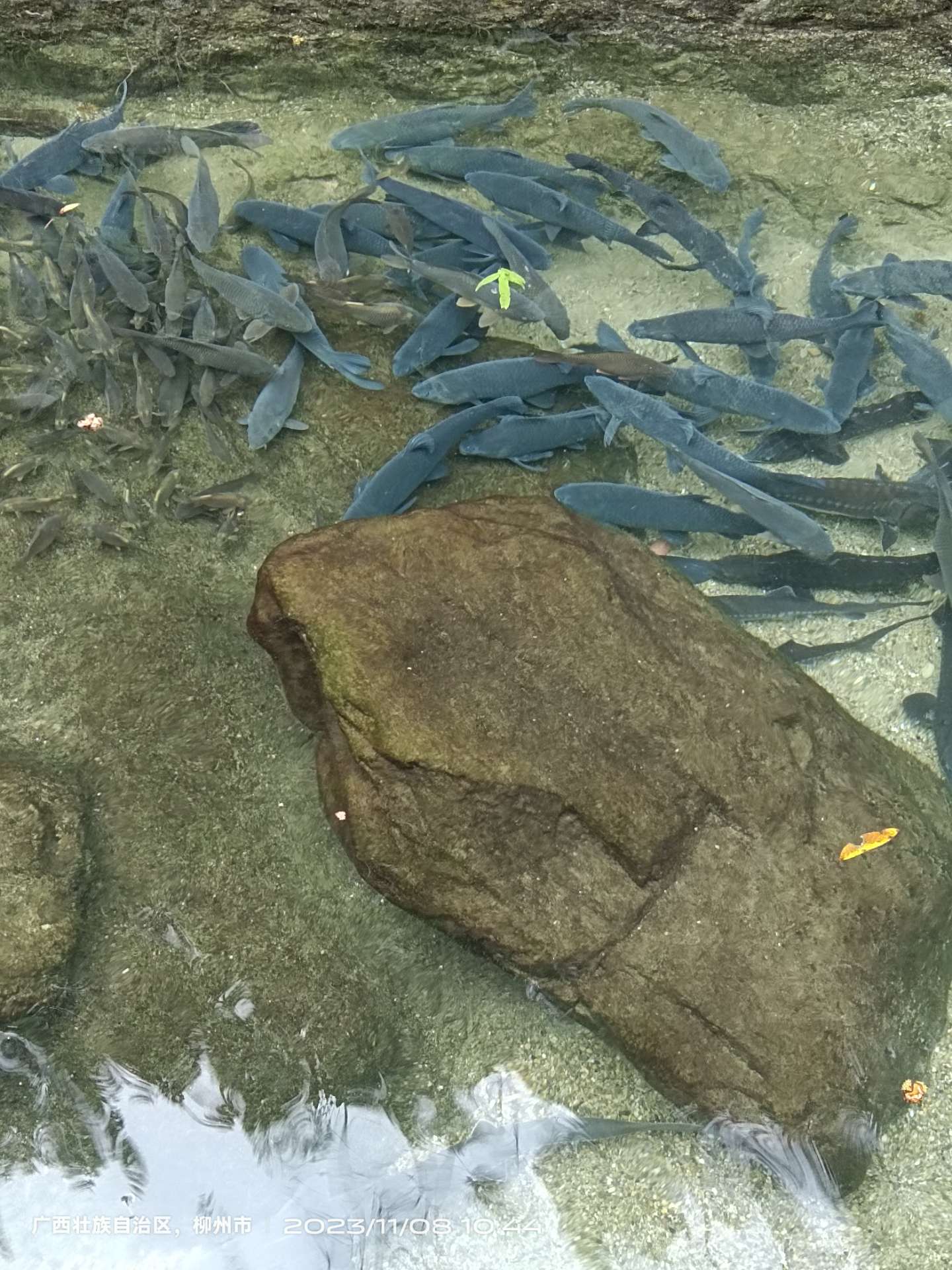 融水分类信息