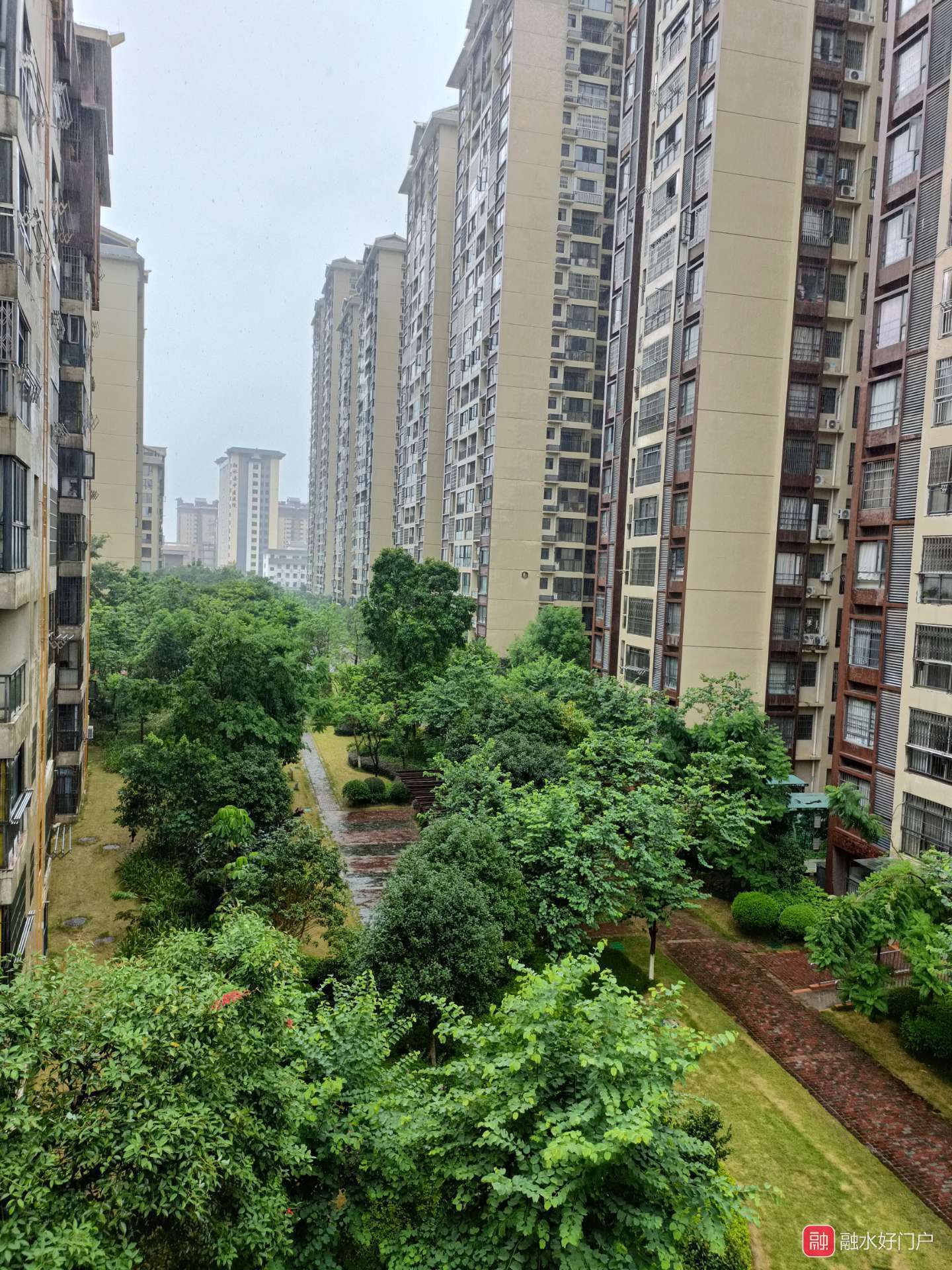 融水分类信息