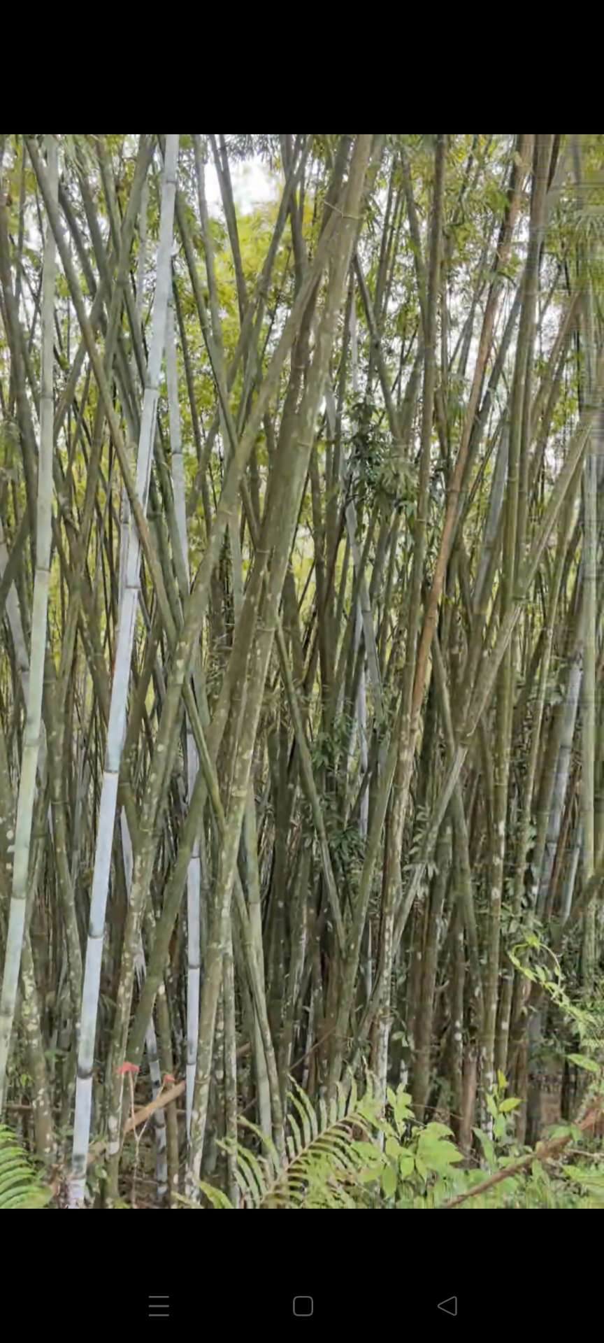融水分类信息