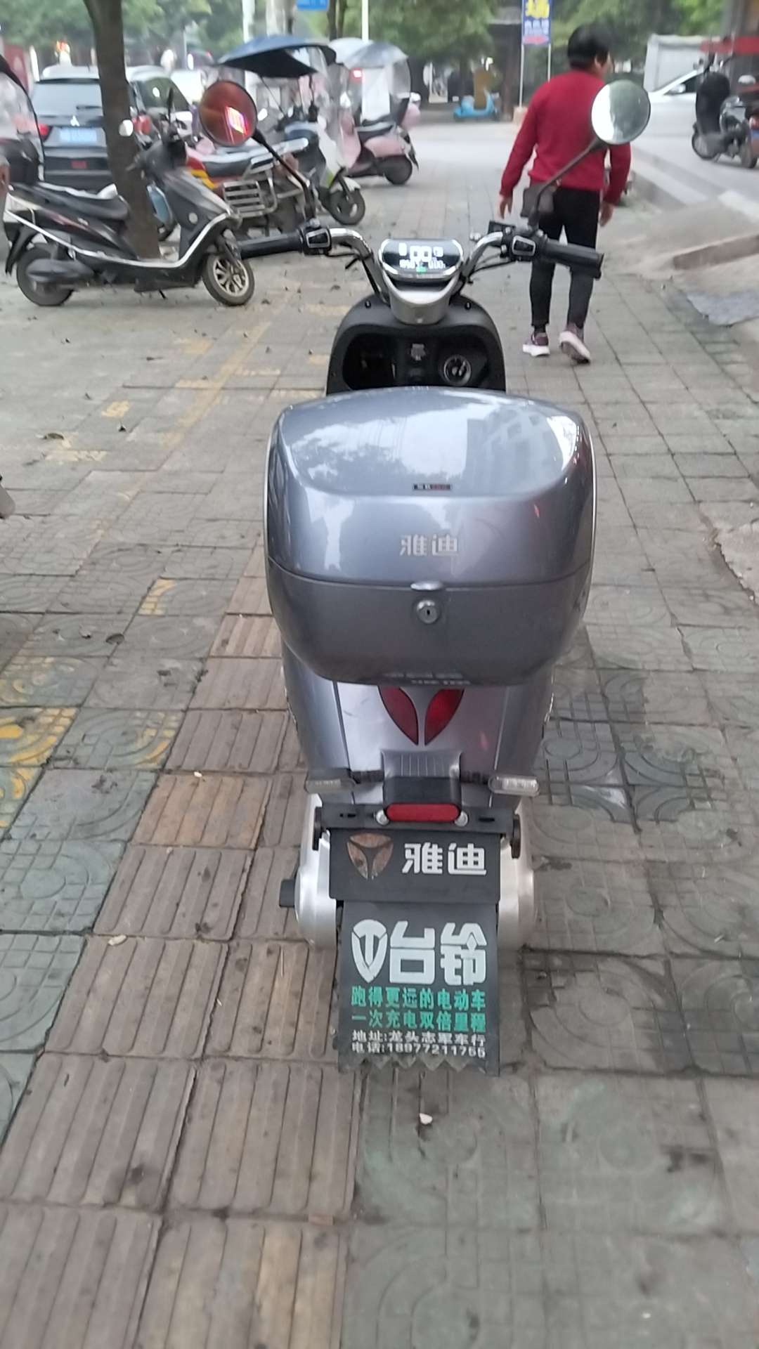 融水分类信息