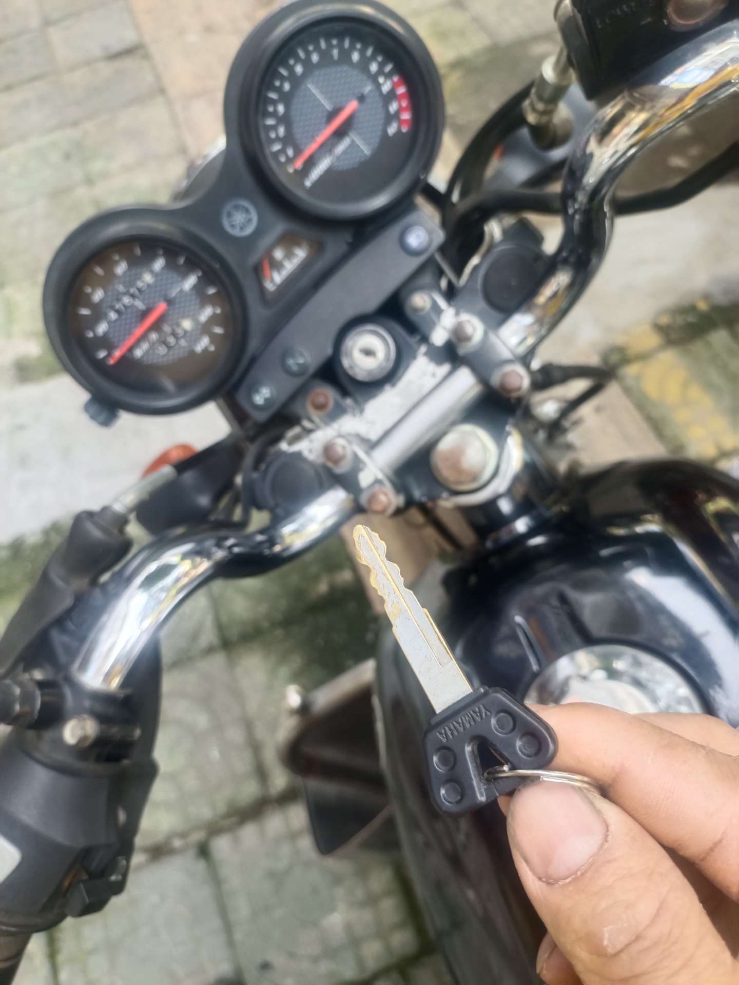 融水分类信息
