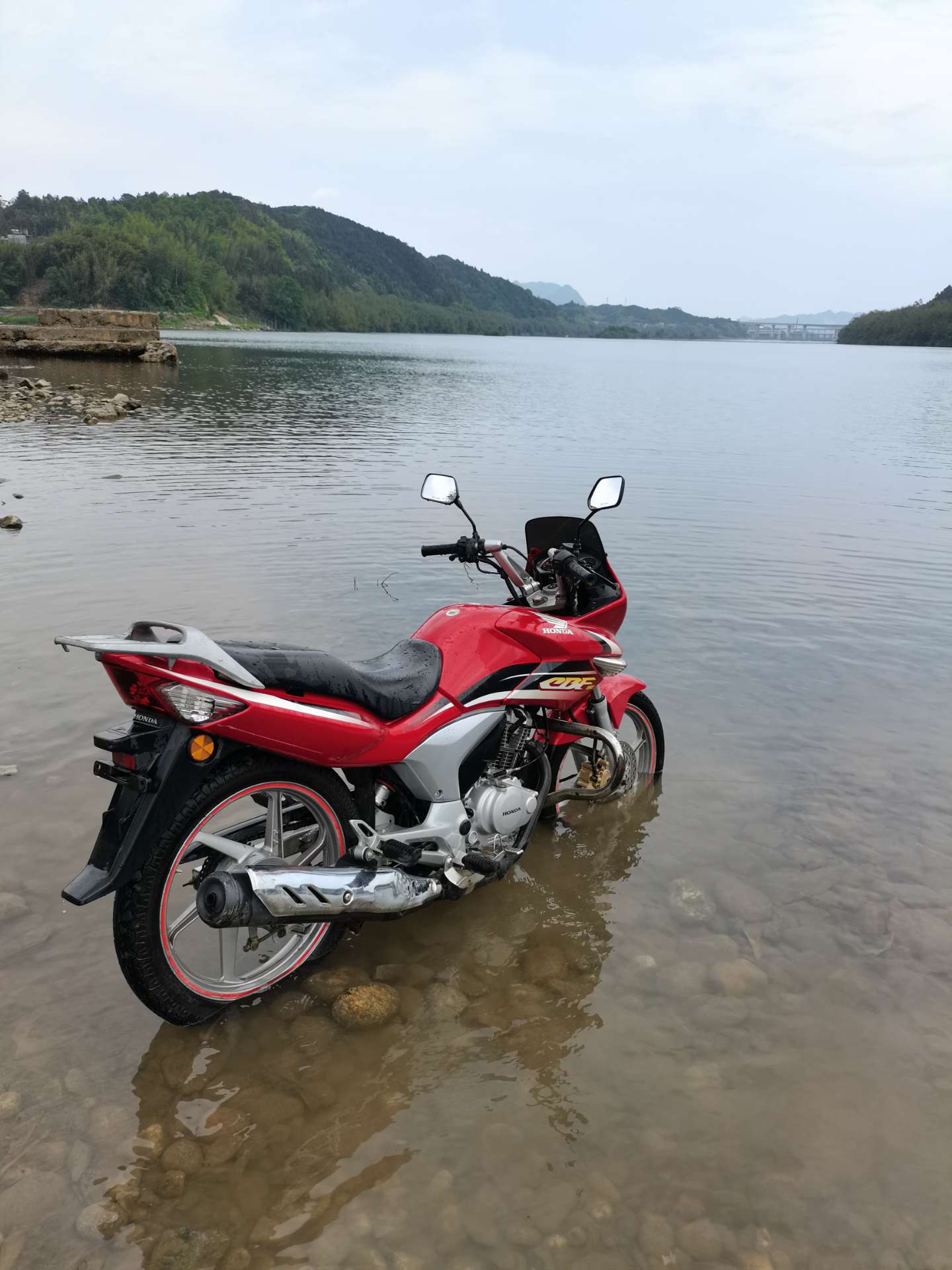 融水分类信息