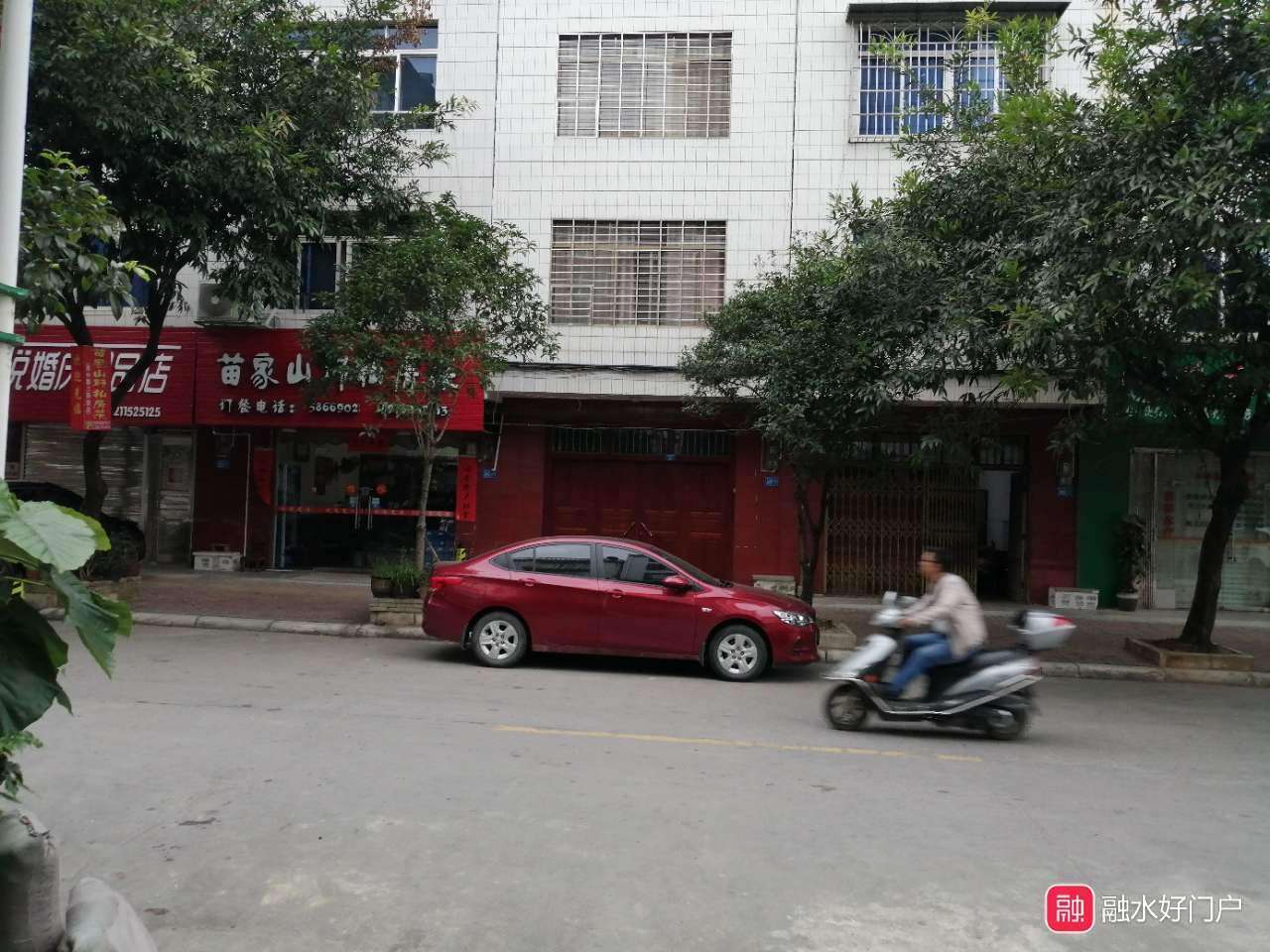 融水分类信息