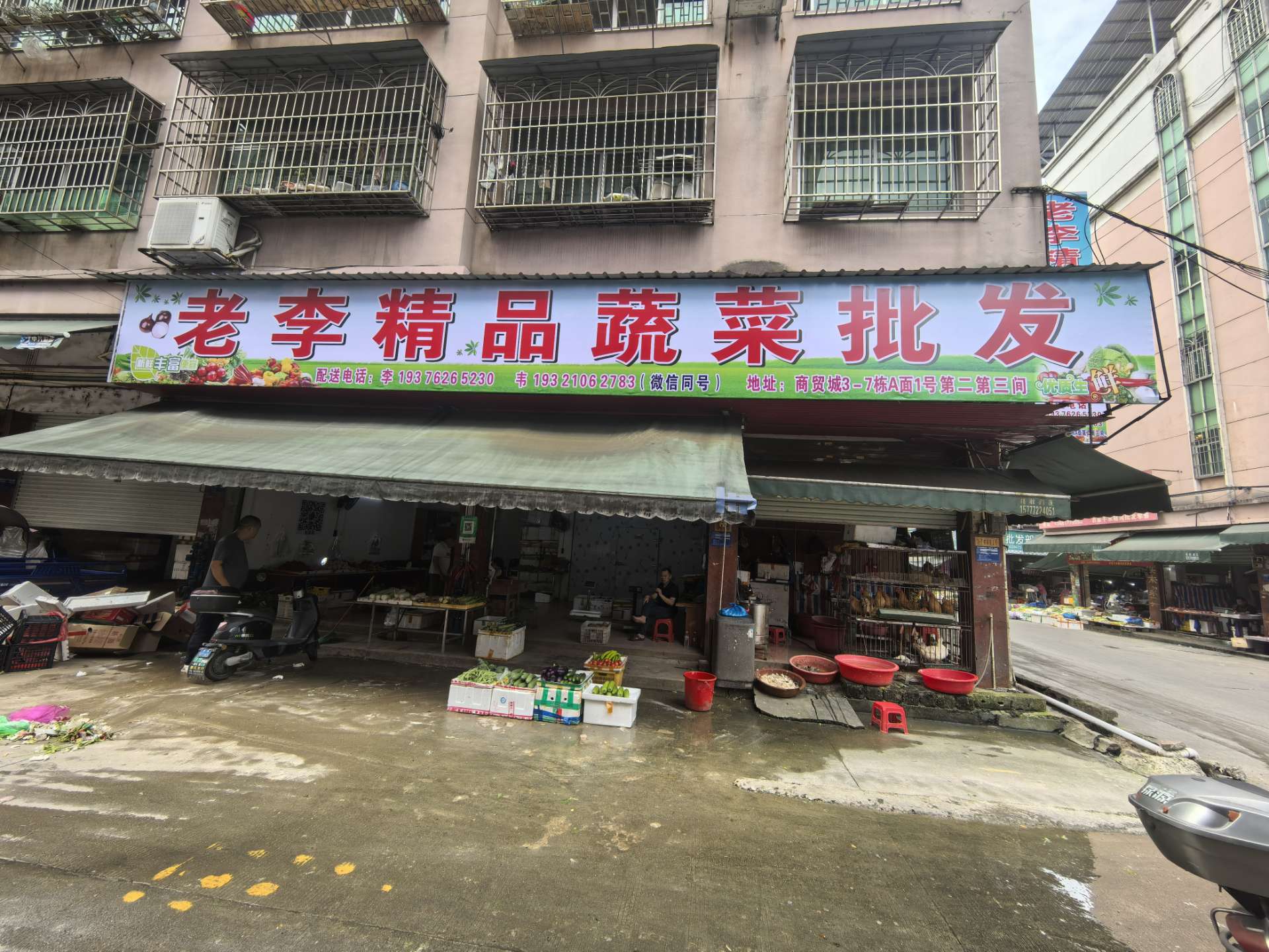 融水分类信息