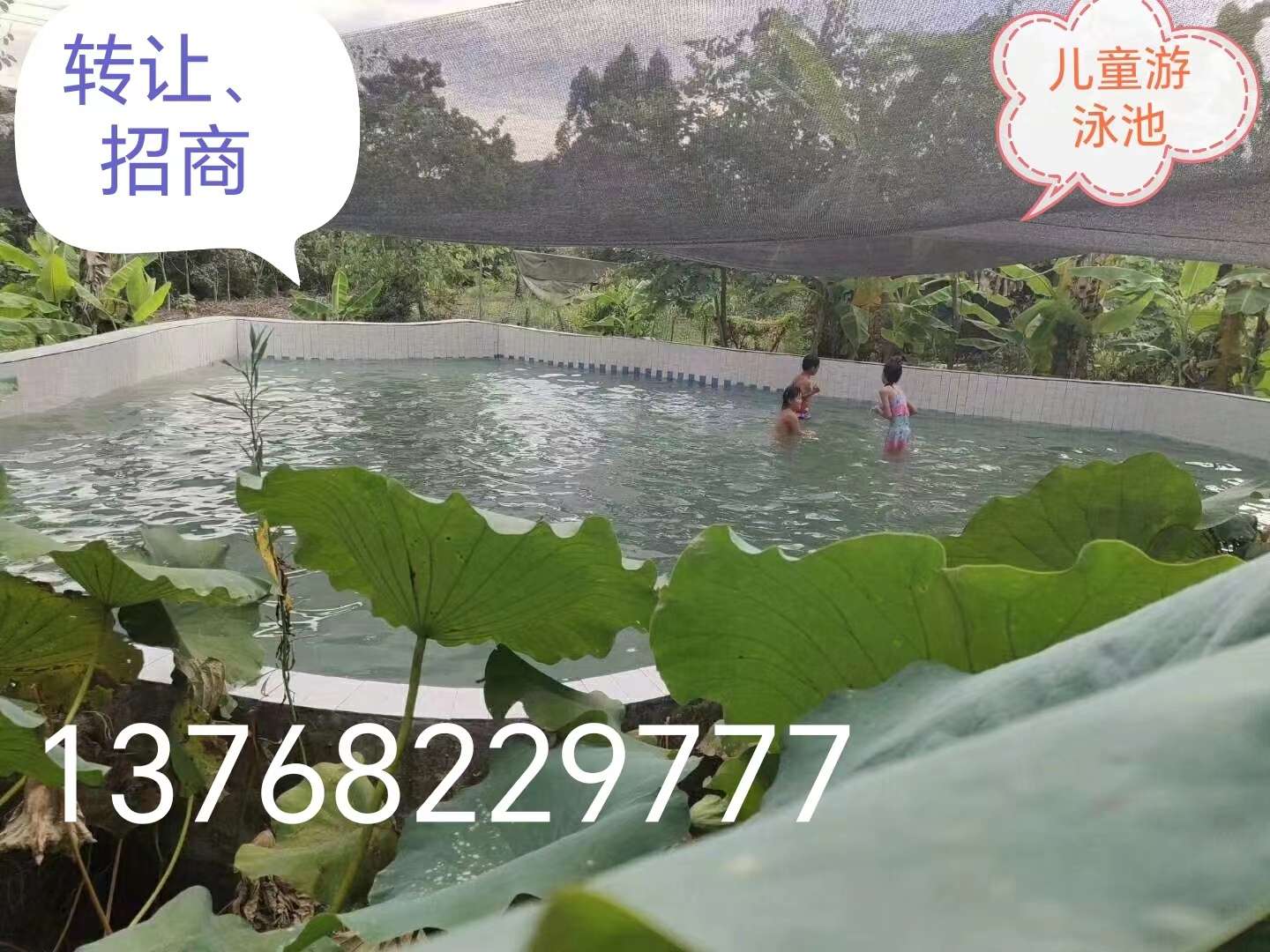 融水分类信息