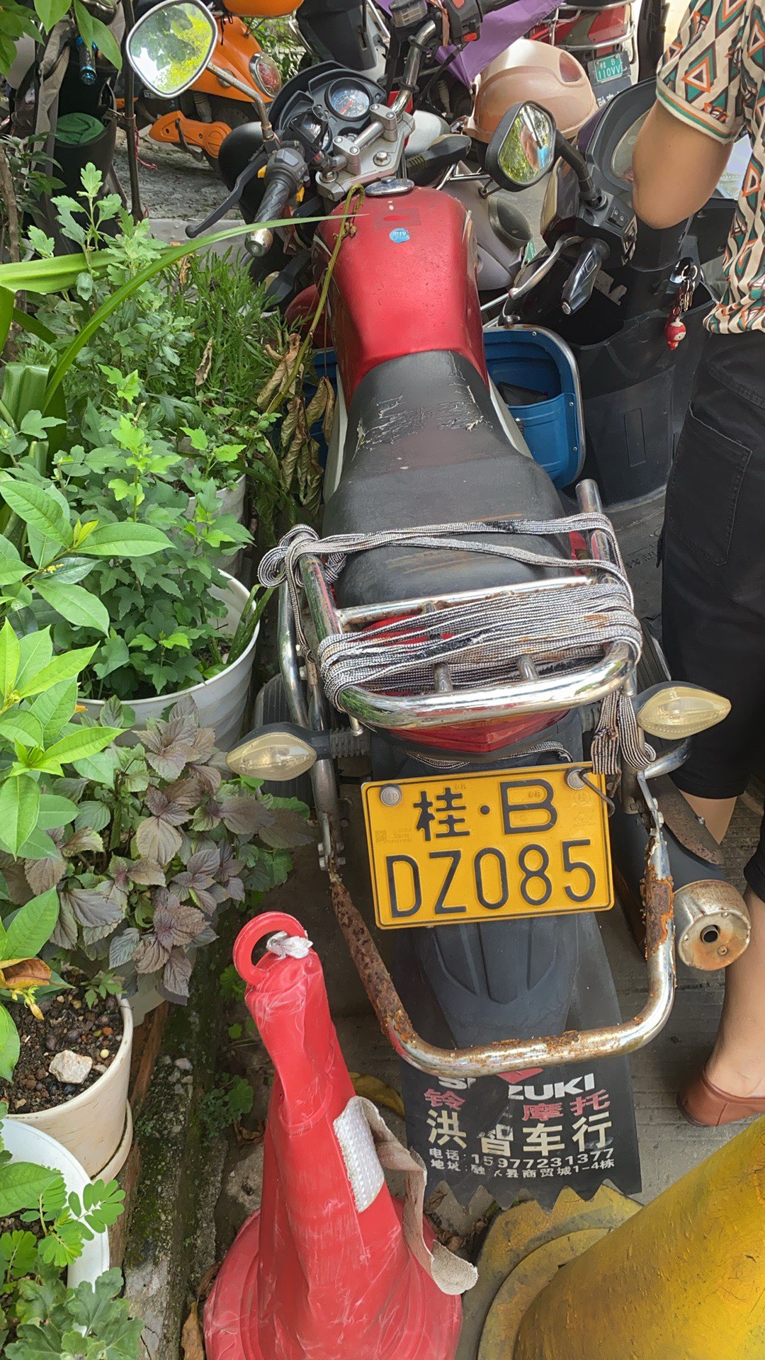 融水分类信息