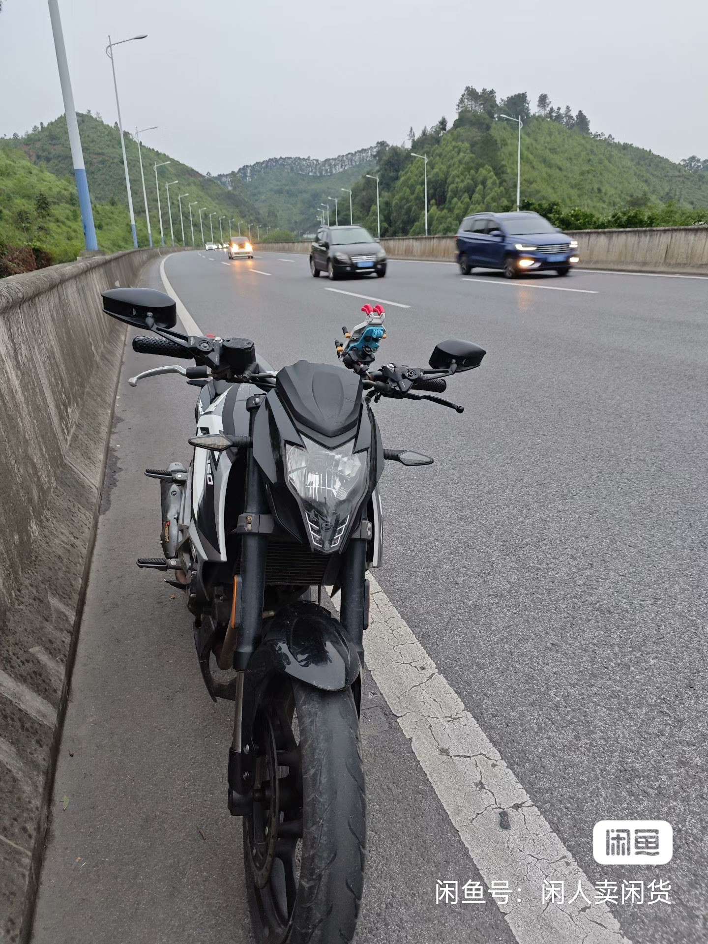 融水分类信息