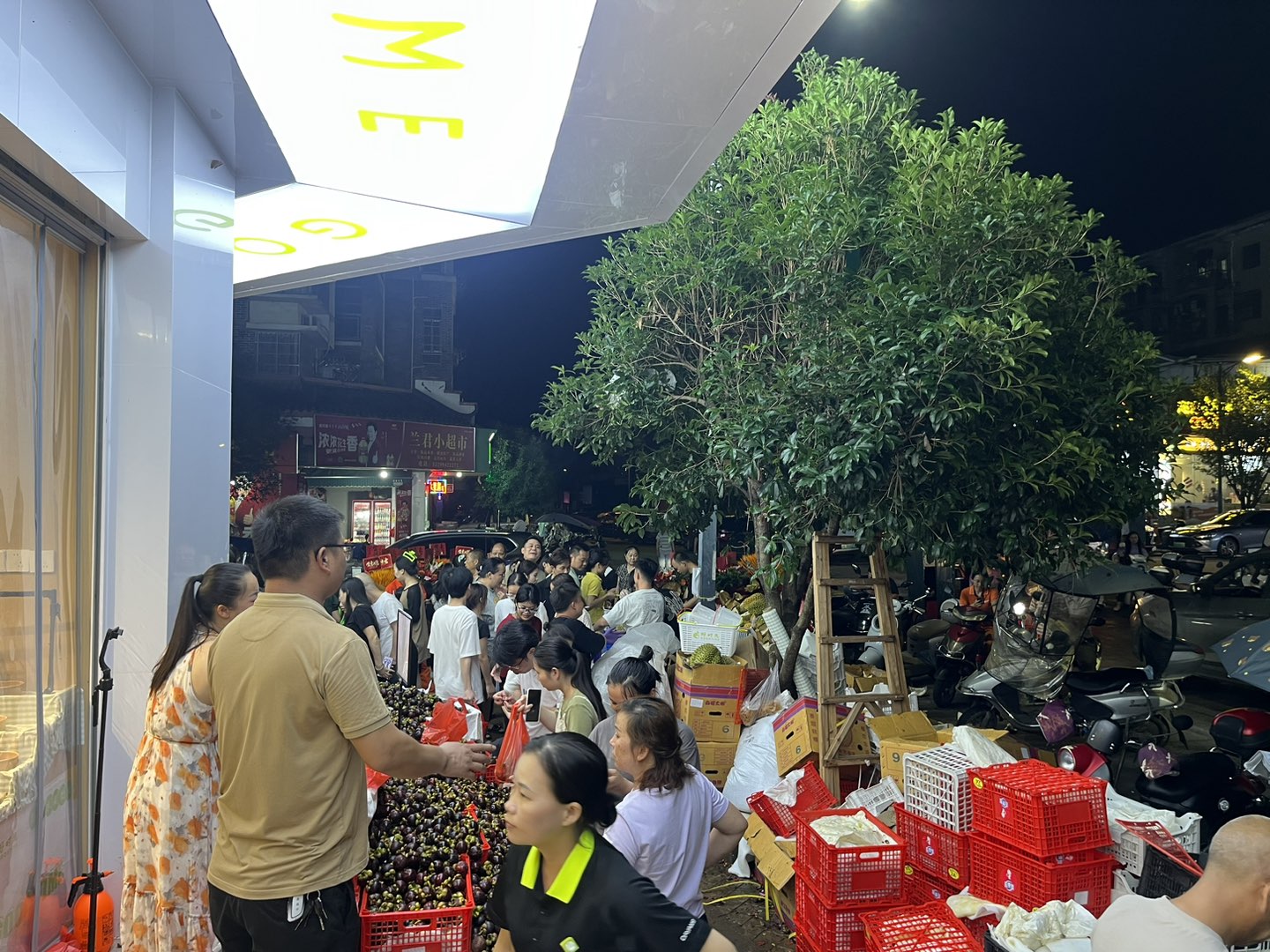 融水分类信息