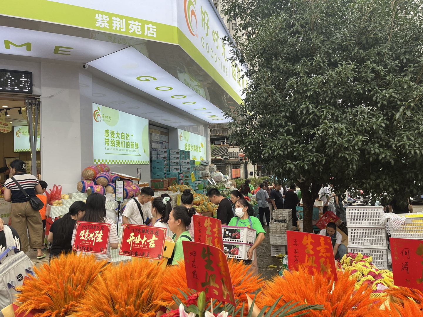 融水分类信息