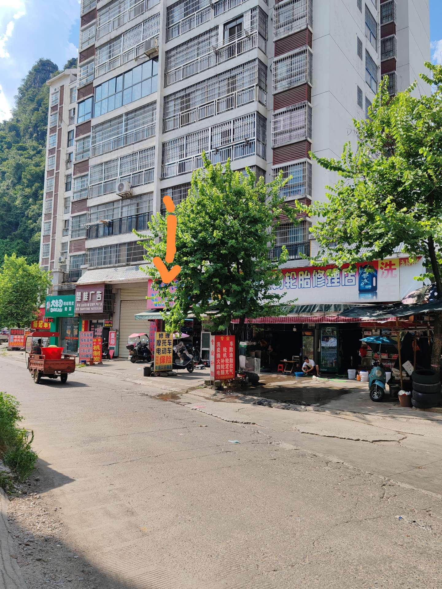 融水分类信息