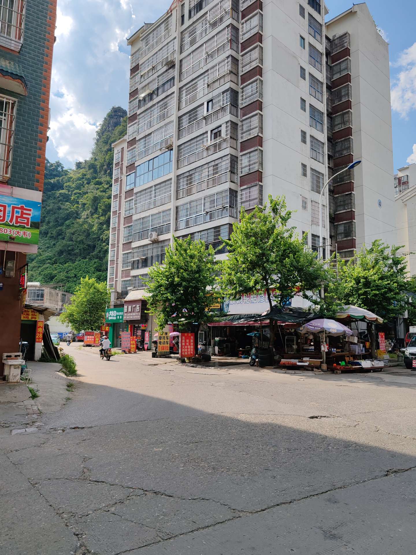 融水分类信息
