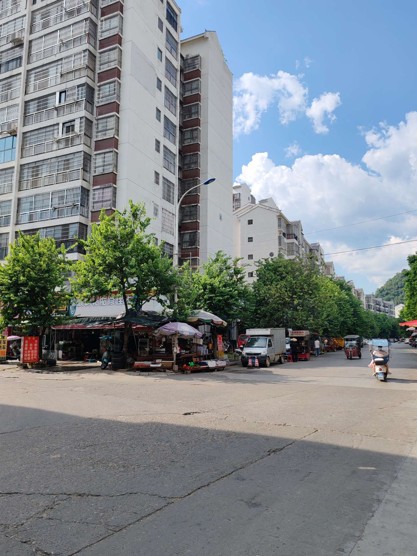 融水分类信息