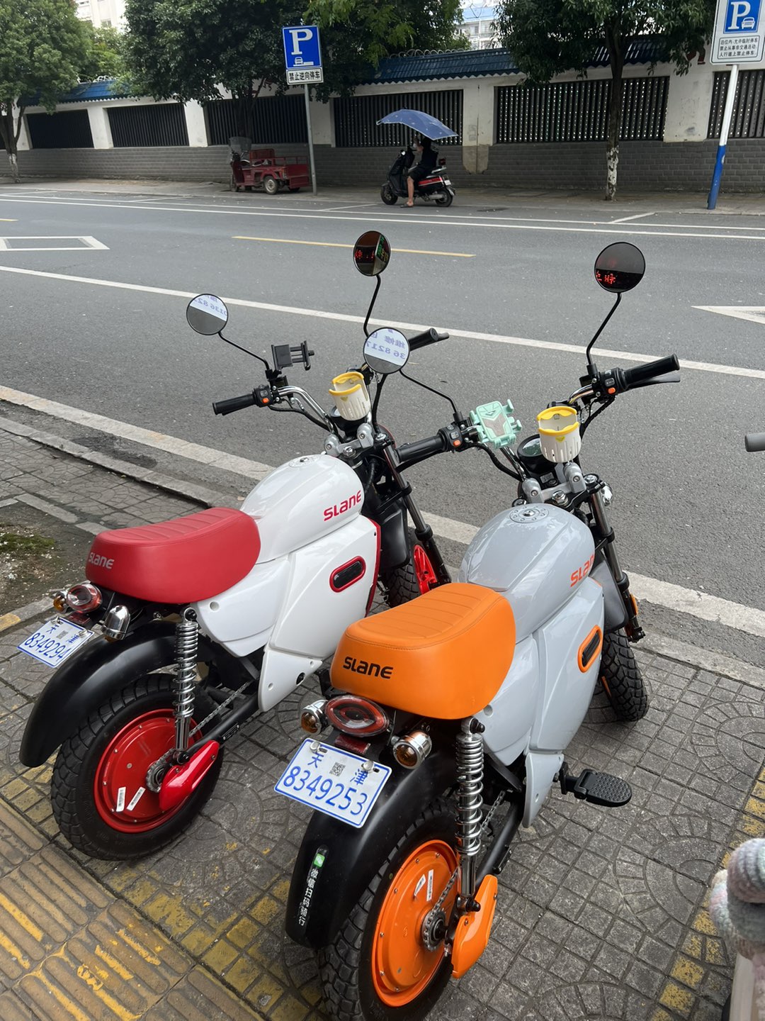 融水分类信息