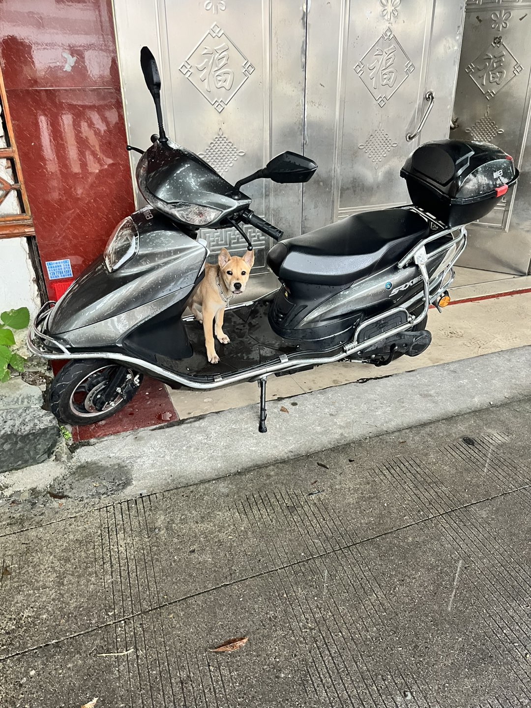 融水分类信息
