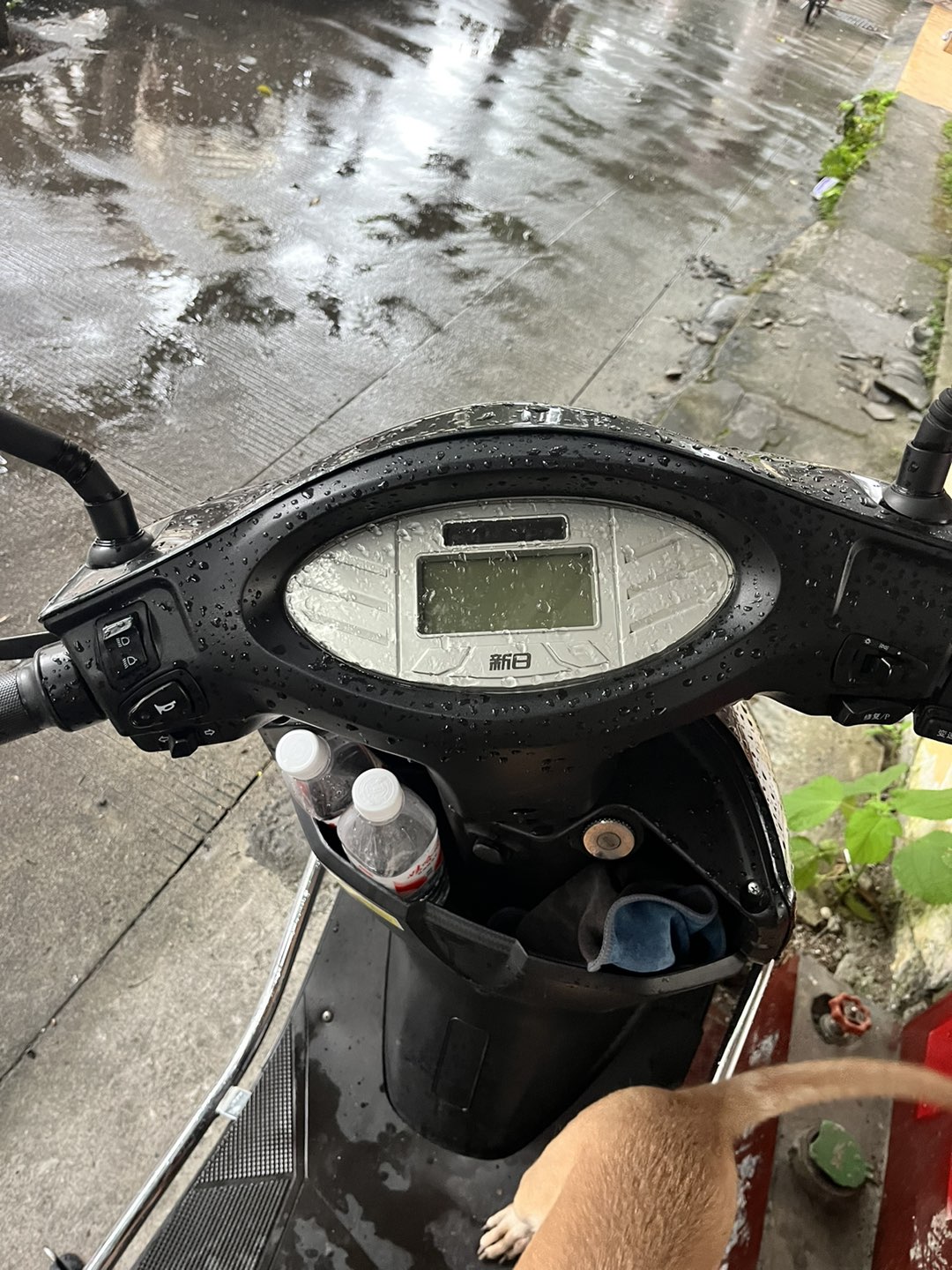 融水分类信息