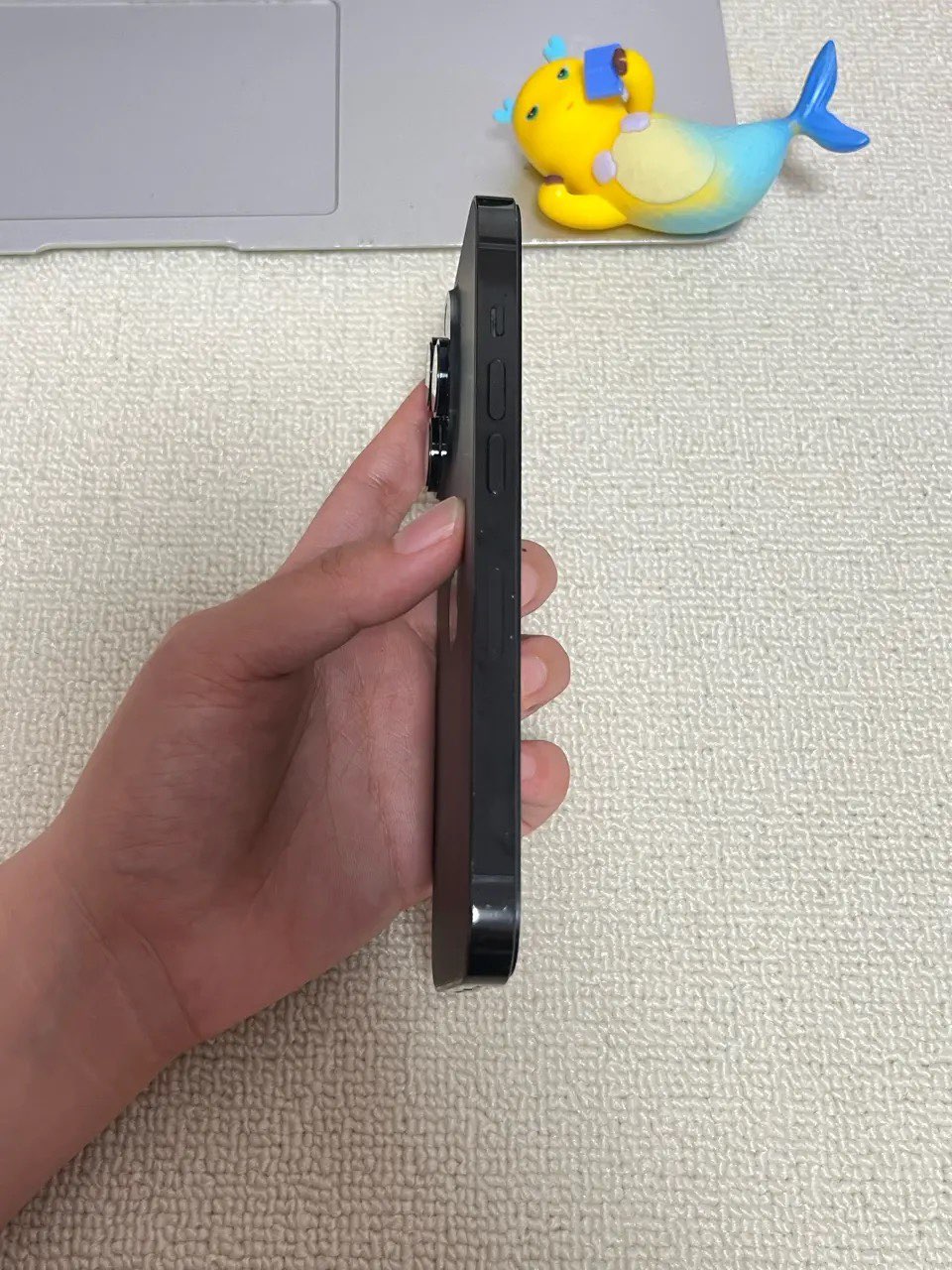 融水分类信息