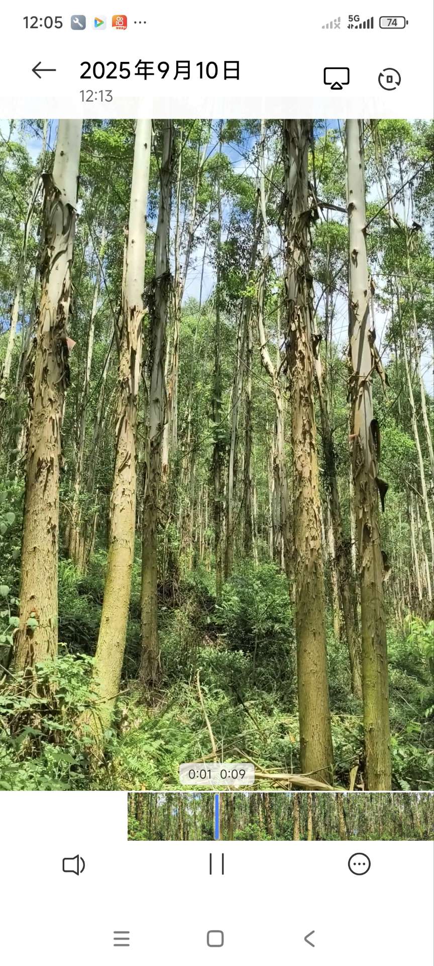 融水分类信息