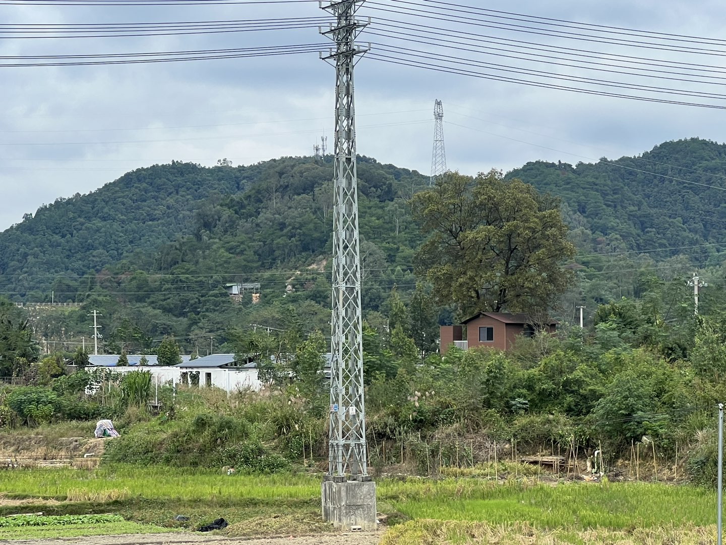 融水分类信息