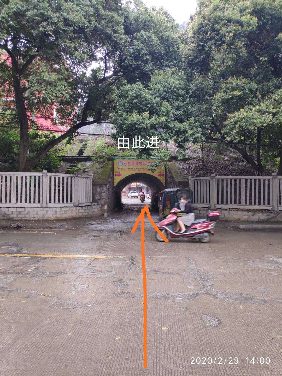 融水分类信息
