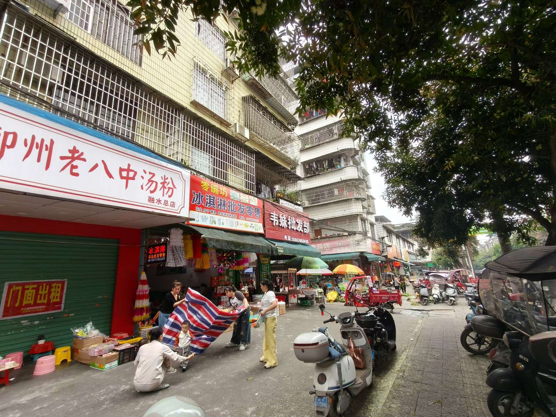 融水分类信息