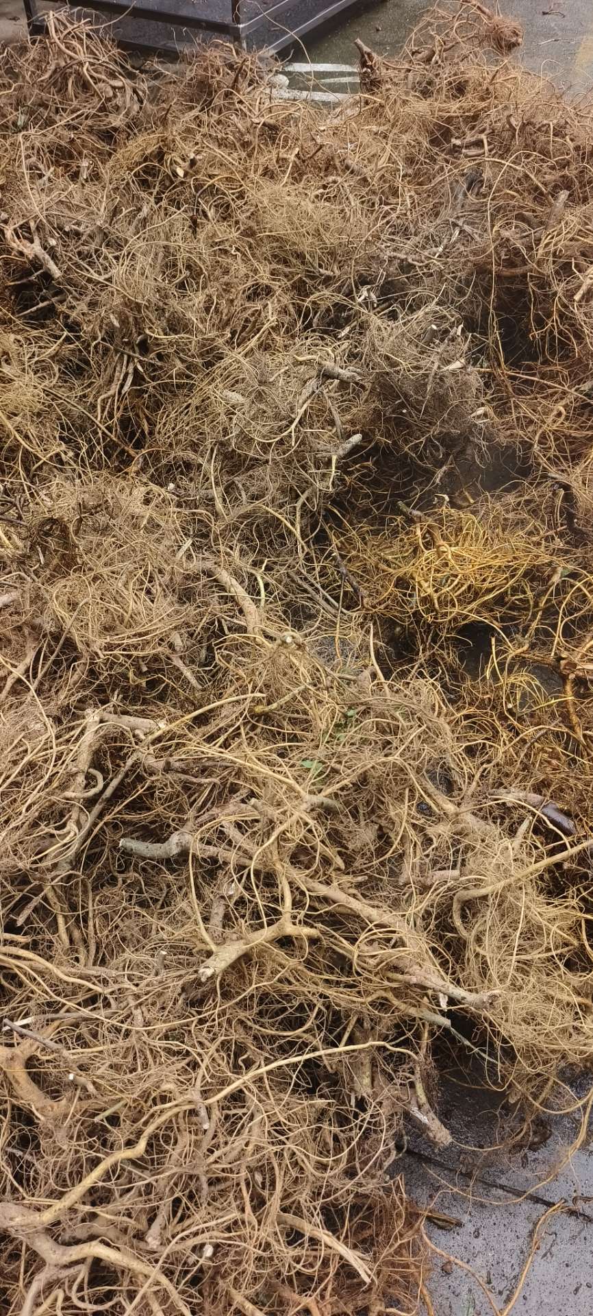 融水分类信息
