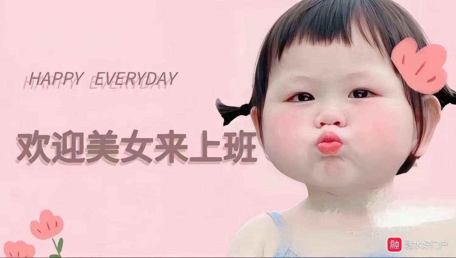 融水分类信息