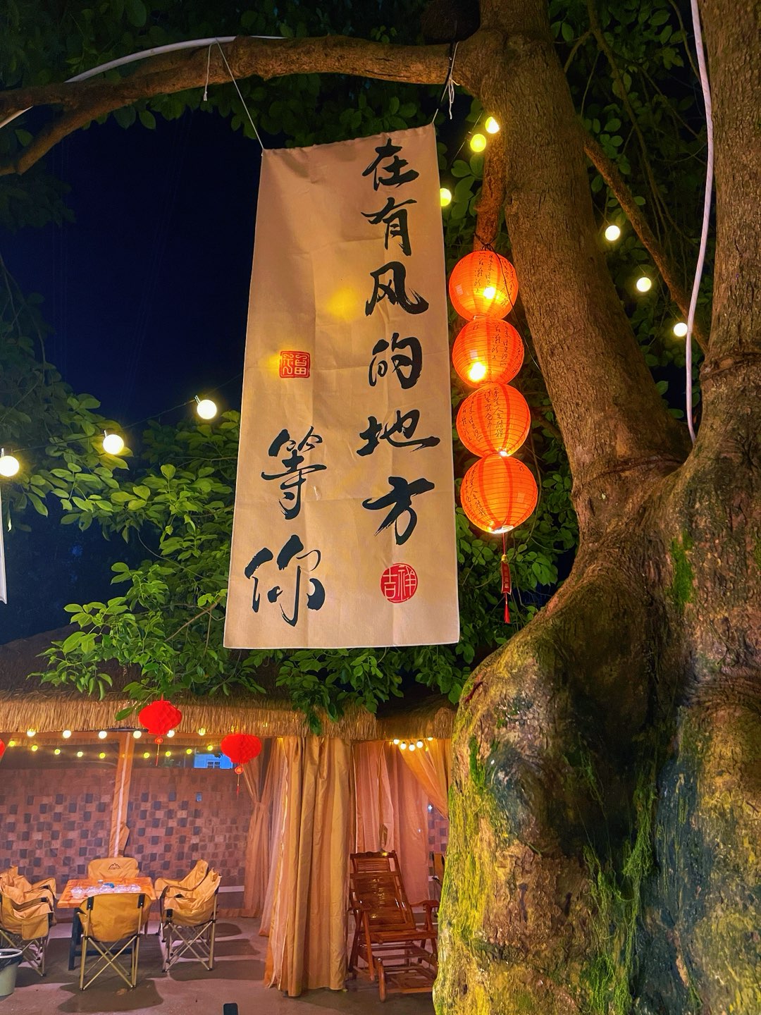 融水分类信息
