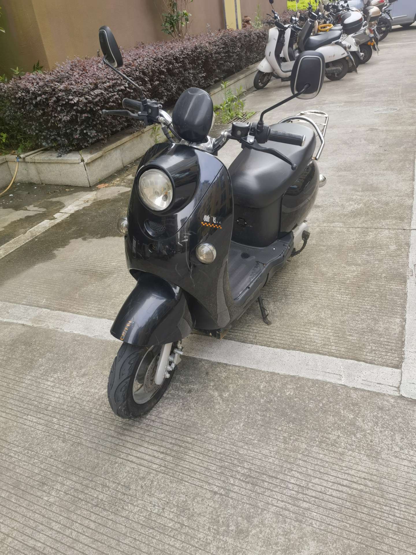 融水分类信息