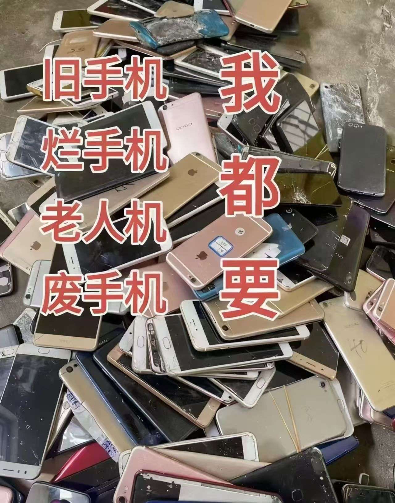 融水分类信息