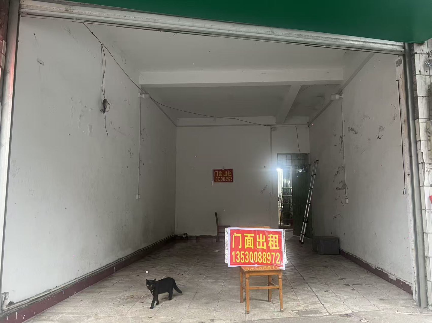 融水分类信息