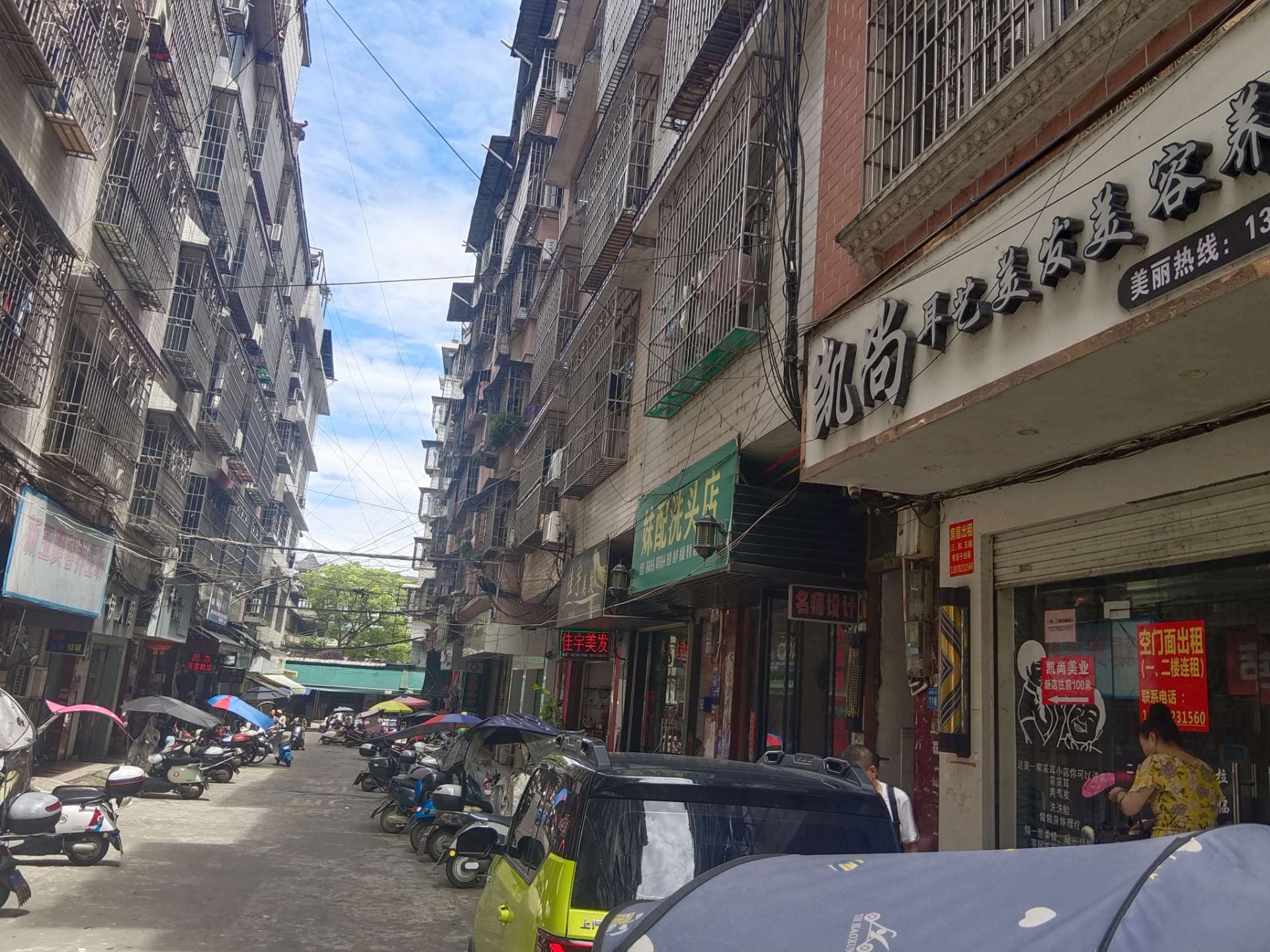 融水分类信息