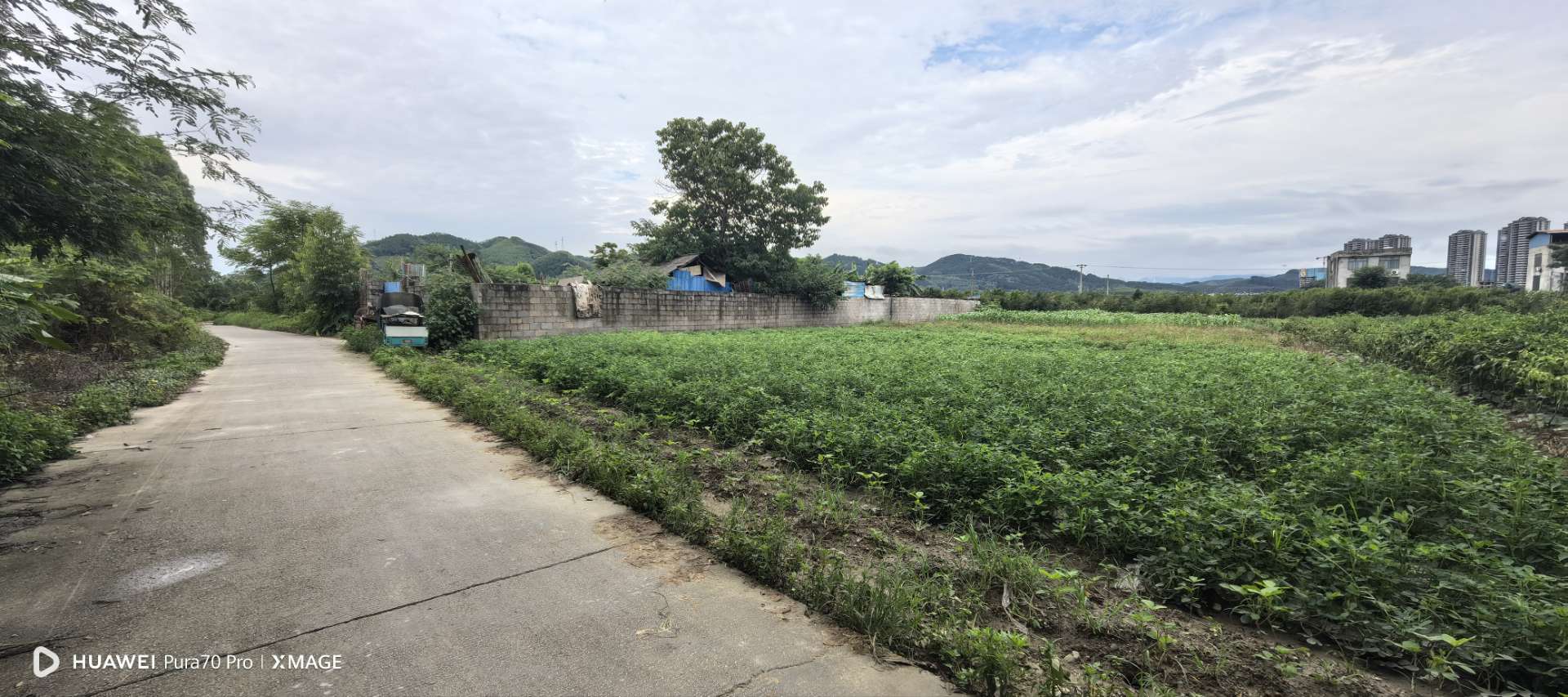 融水分类信息
