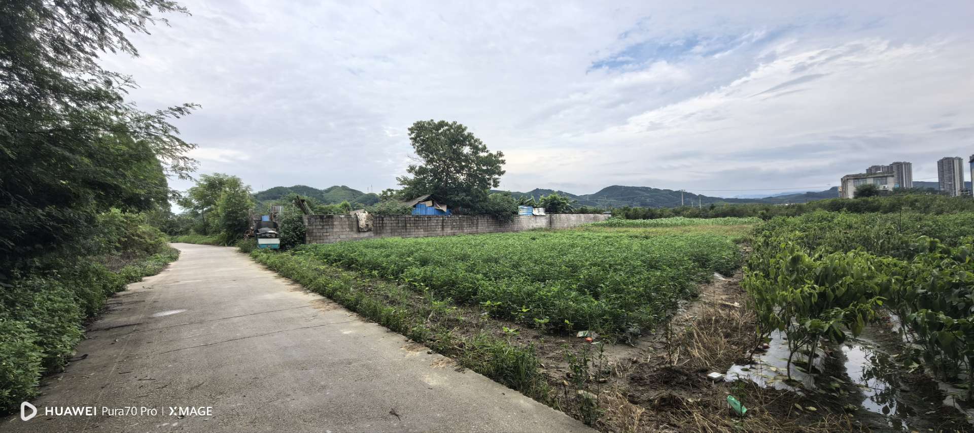 融水分类信息
