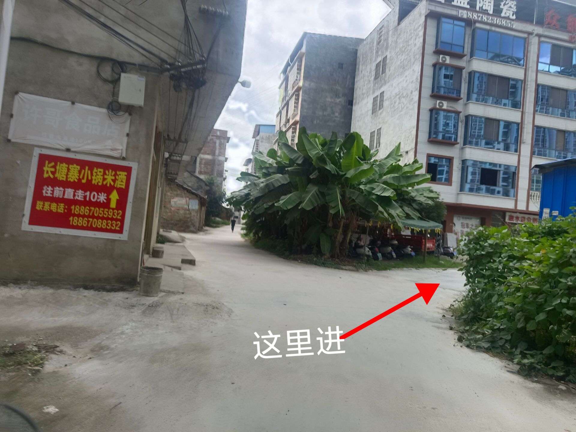 融水分类信息