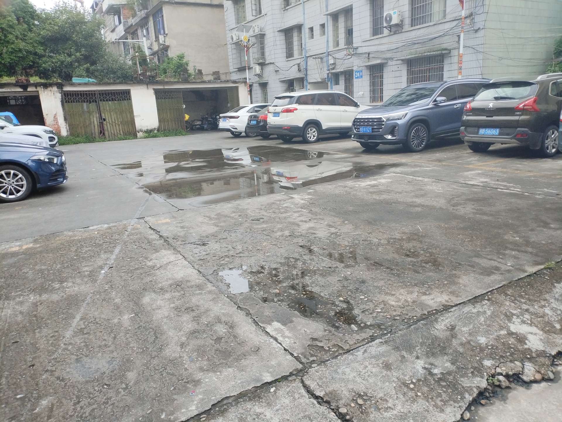 融水分类信息