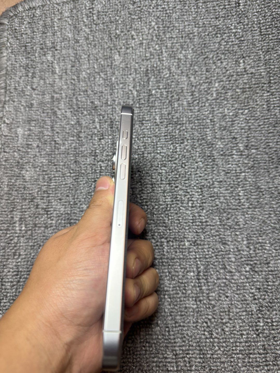融水分类信息