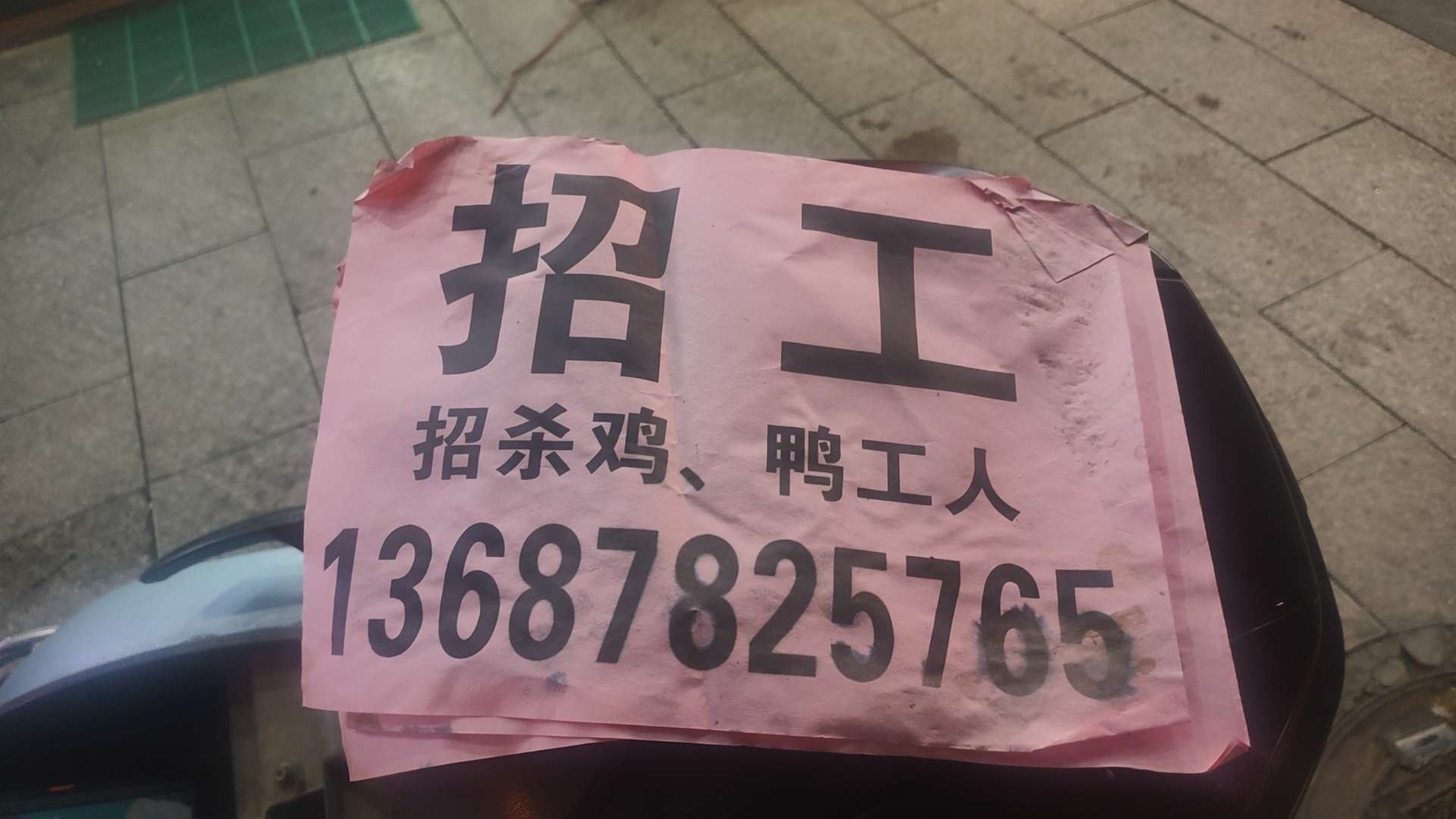 融水分类信息