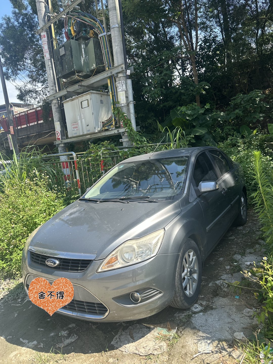 融水分类信息