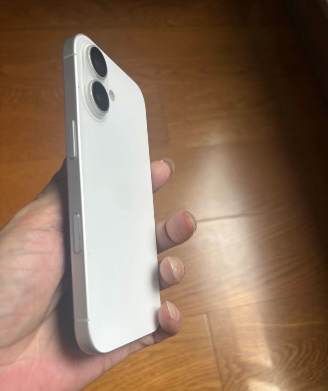 融水分类信息