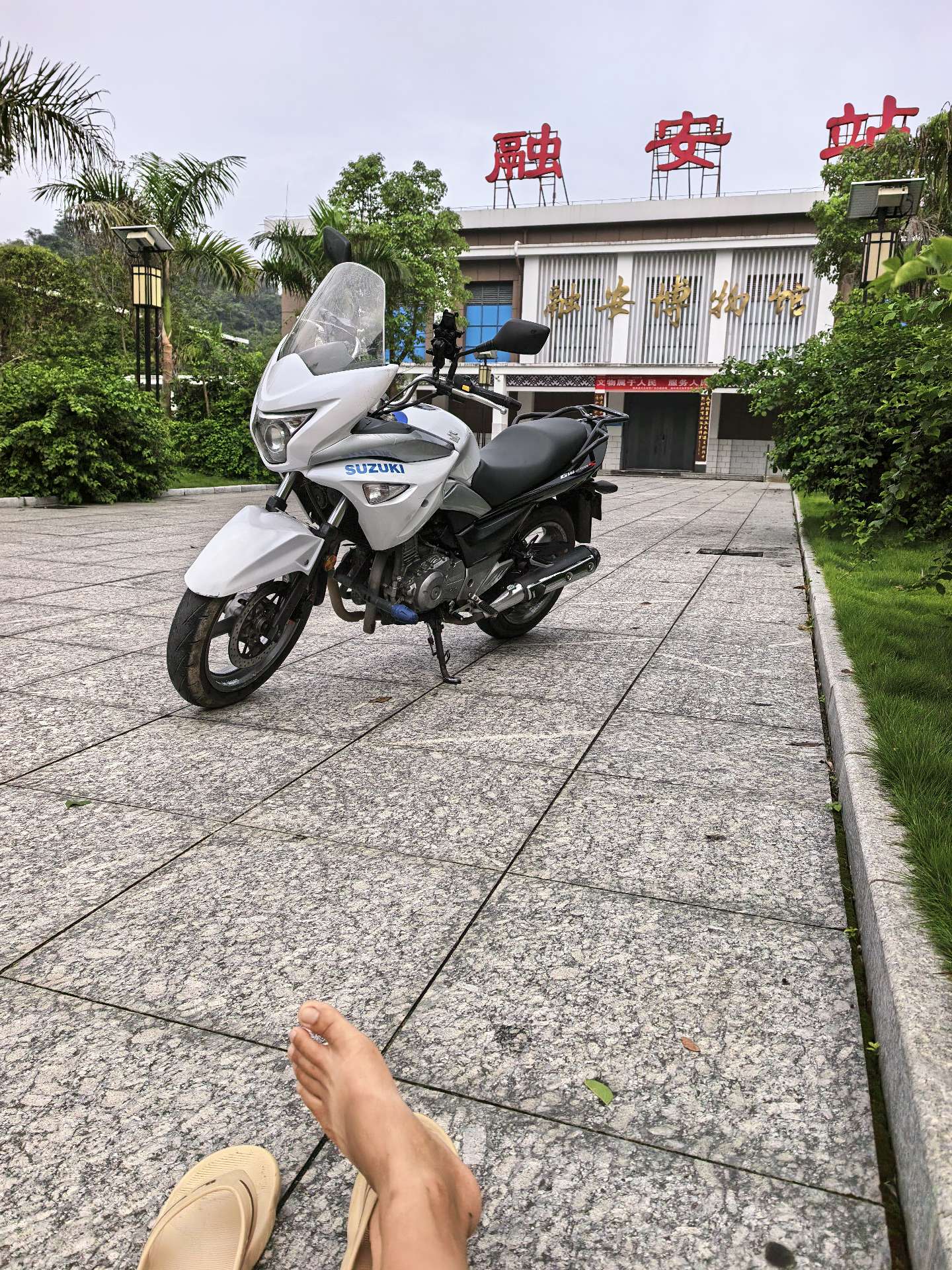 融水分类信息