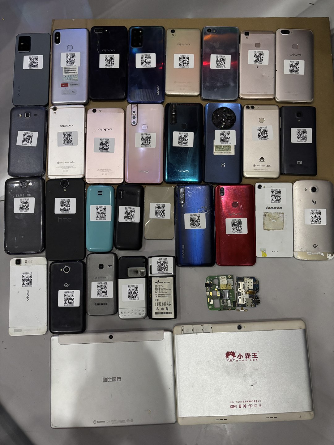 融水分类信息