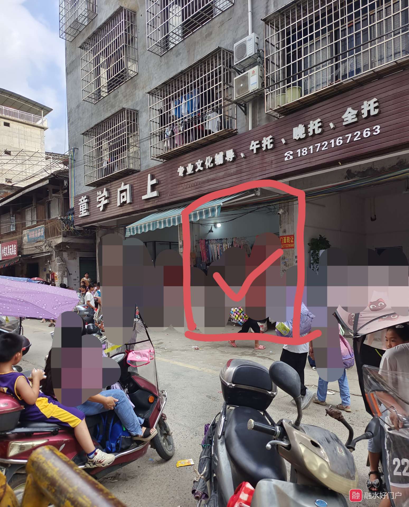 融水分类信息
