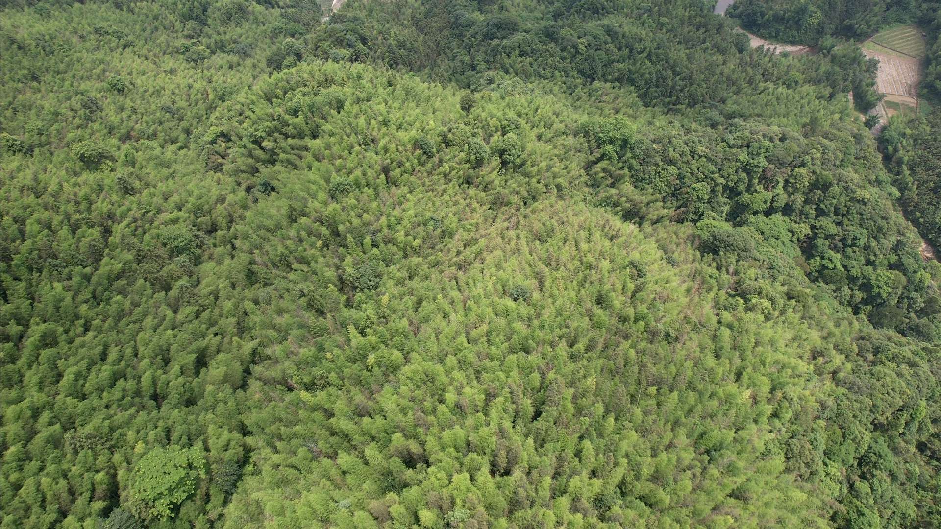 融水分类信息