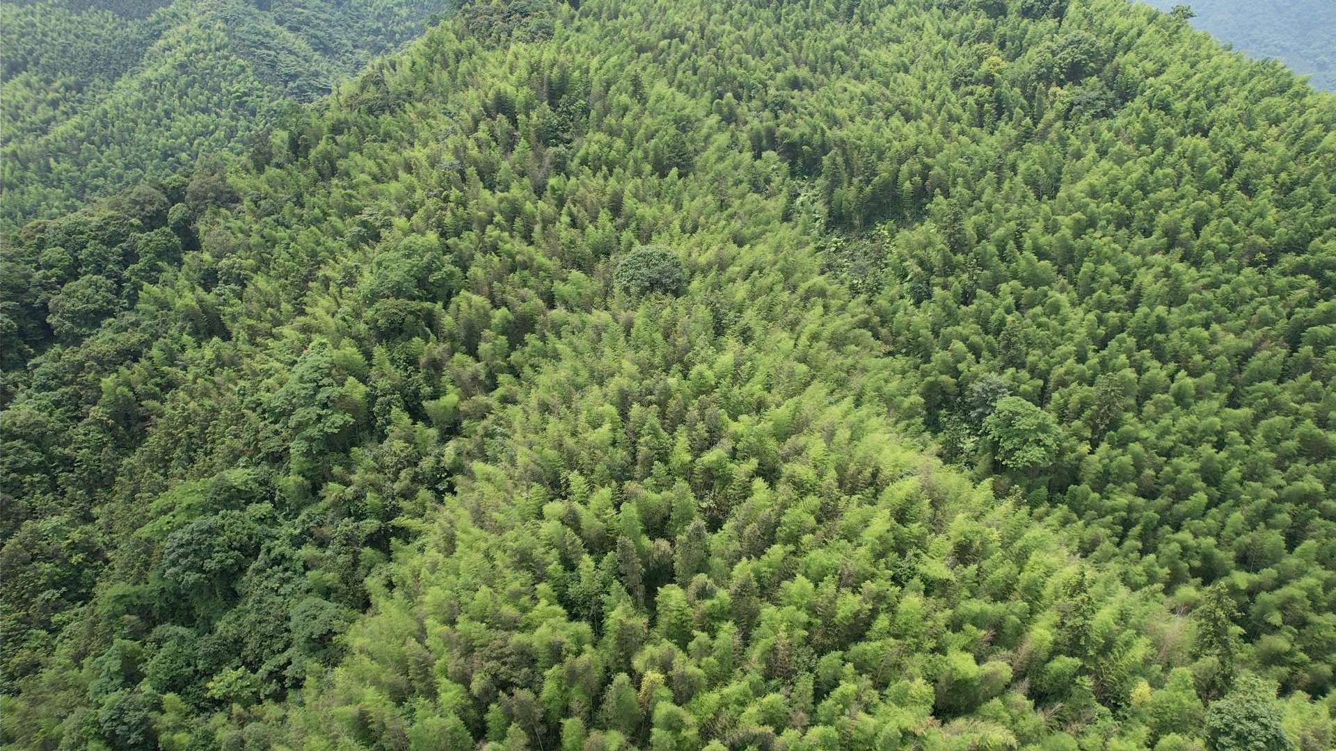 融水分类信息